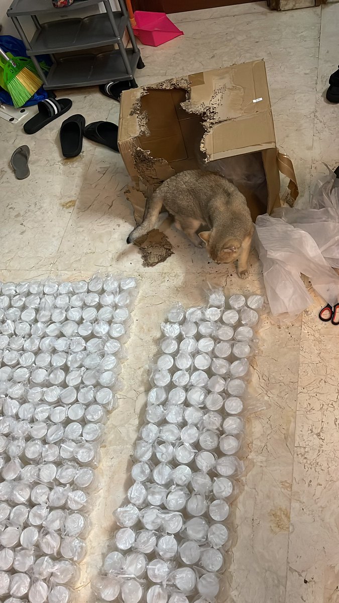 faizput's tweet image. bisa bisa nya kardus hancur, untung isinya aman