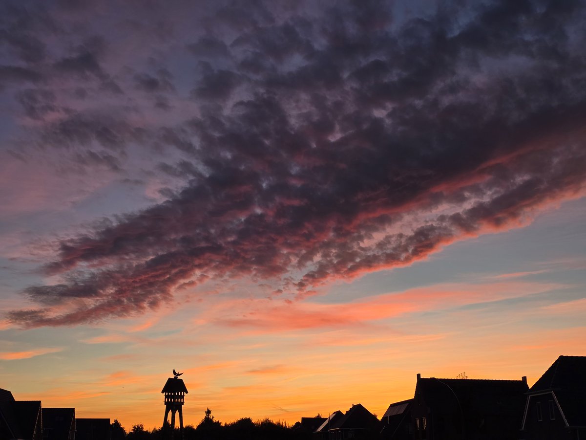 Sylvia Westerhuis tweet media