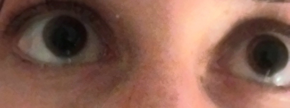 ʜᴜɴ!🐝( ´ཀ` ) ʜᴇ/ʜɪᴍ tweet media