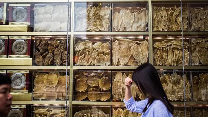 2/3 <a href="/PROFEPA_Mx/">PROFEPA</a> <a href="/mariana_boy/">Mariana Boy</a> &amp; <a href="/BrookingsInst/">The Brookings Institution</a> <a href="/VFelbabBrown/">Vanda Felbab-Brown</a> on #totoaba swim bladder trafficking &amp; Mexico's <a href="/CITES/">CITES</a> action plan
"Protecting #vaquita not only an environmental problem, it is fundamentally a matter of fighting criminal groups, incl transit &amp; destination countries."