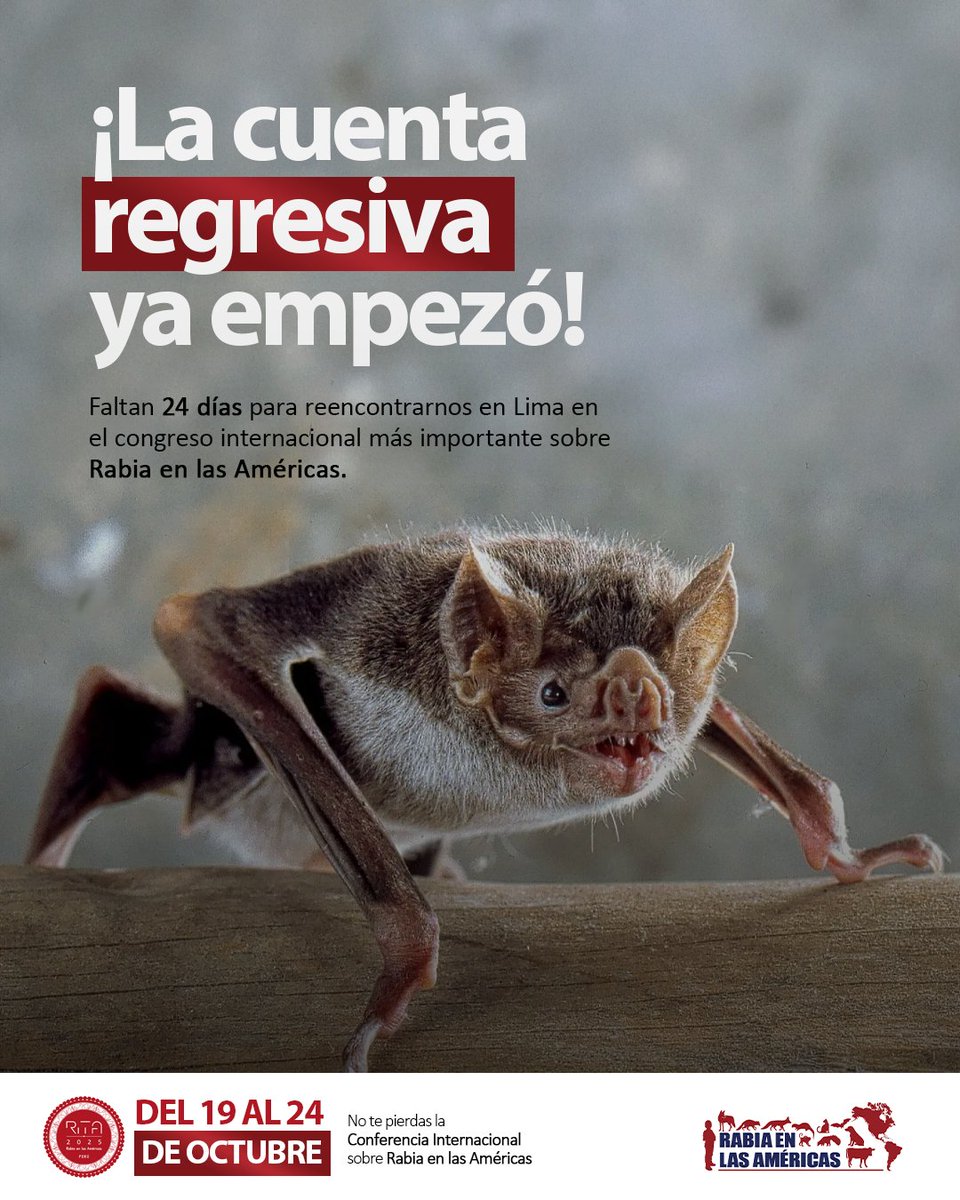 ⏳ Faltan 24 días para #RITA2025 🌍💉

📅 19–24 de octubre | Lima, Perú
El encuentro global que une ciencia, salud pública y colaboración contra la rabia.

#OneHealth #Rabia