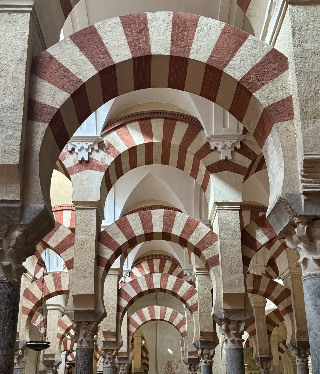 أحمـد tweet media