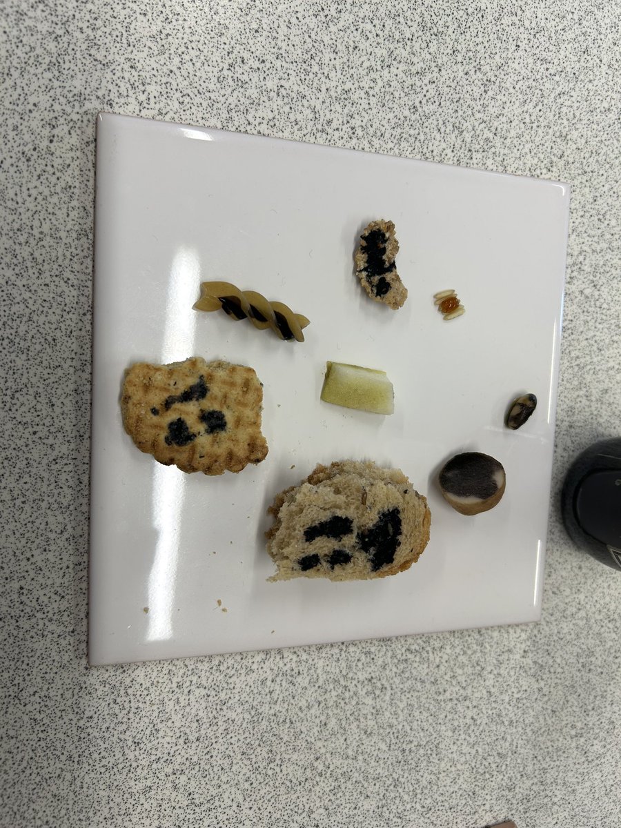 MsMatthewBio's tweet image. N3 science testing foods for starch today - we even got some smiley faces drawn with the iodine solution! Well done all round :)