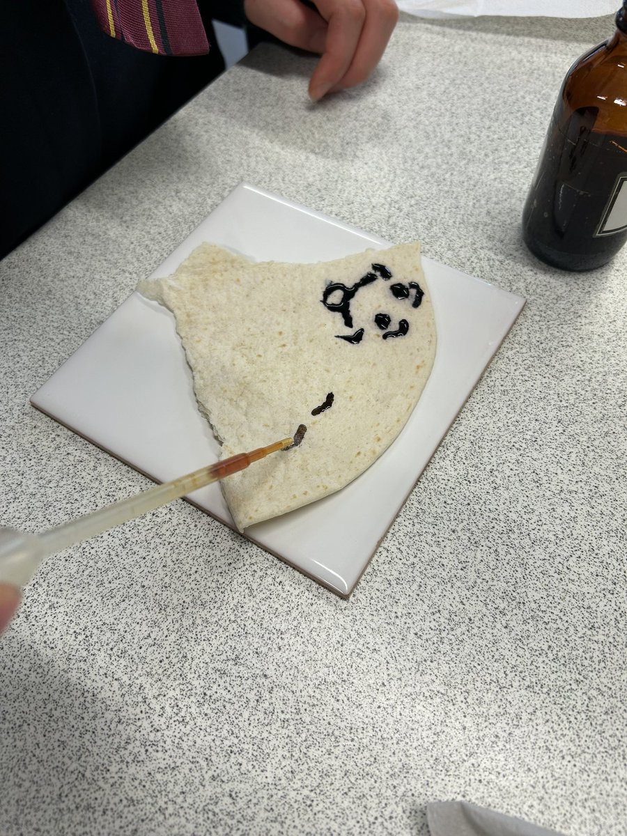 MsMatthewBio's tweet image. N3 science testing foods for starch today - we even got some smiley faces drawn with the iodine solution! Well done all round :)