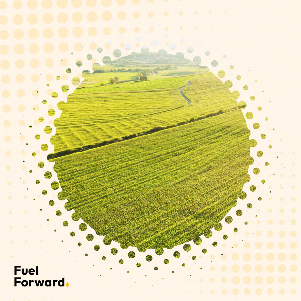 Did you know?

Crop rotations, better fertilizer use &amp; soil management are helping to reduce emissions from Canadian #ethanol.
Learn more: brnw.ch/21wW5NR