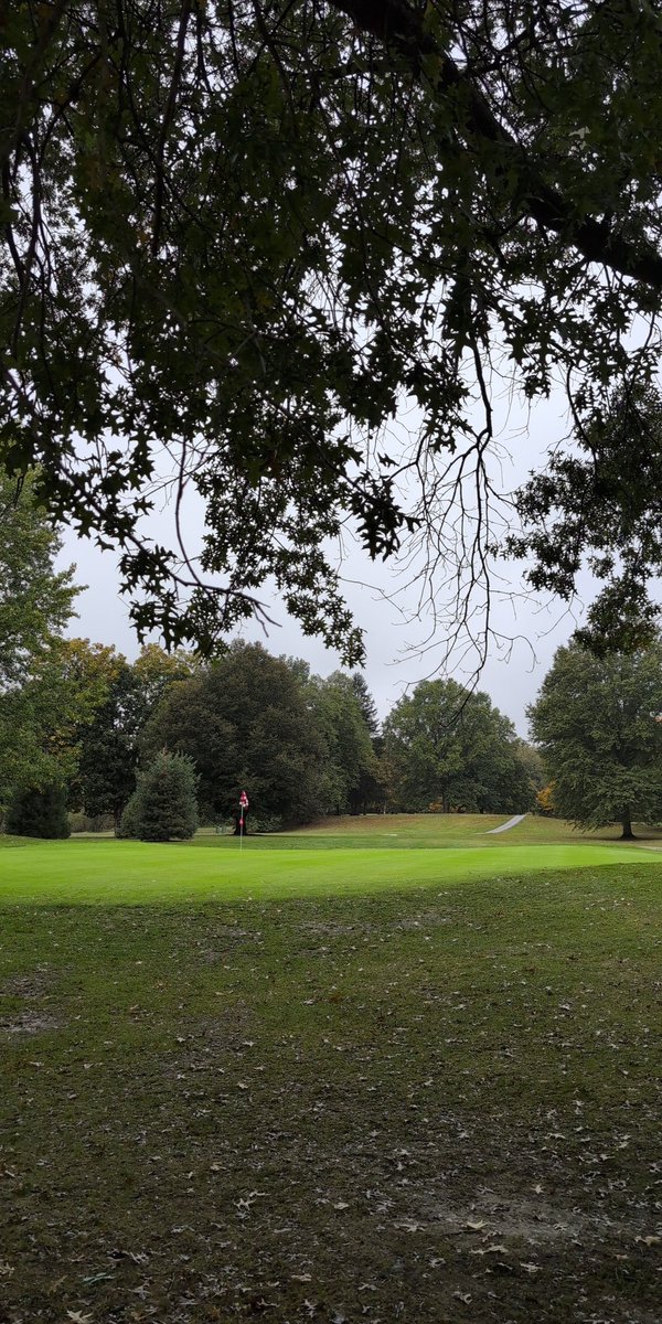 Little soggy, but great day to be a Viking at Riverview Golf Club at the D3 Sectional Tournament.
#VikingPride
