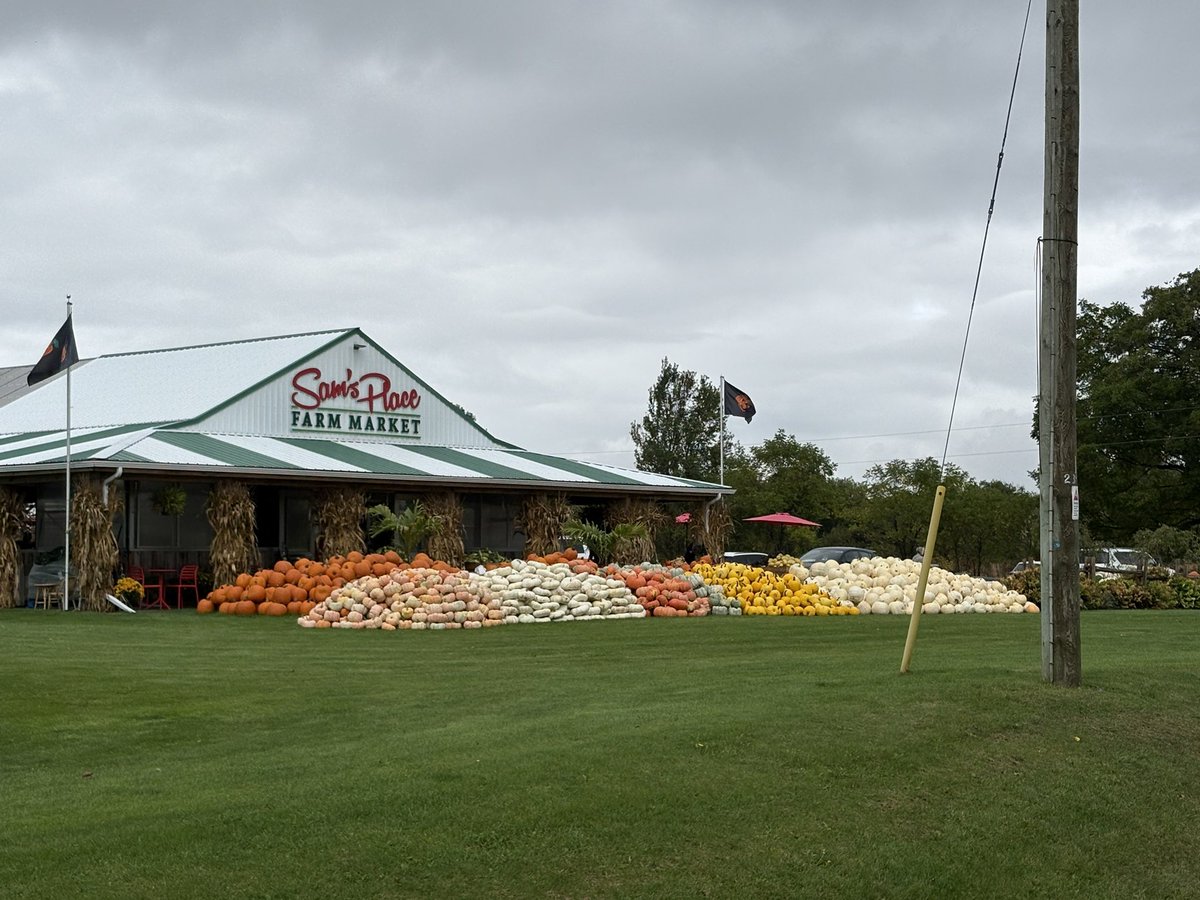 Beautiful fall display in Scotland, ON
Plenty to choose for customers.