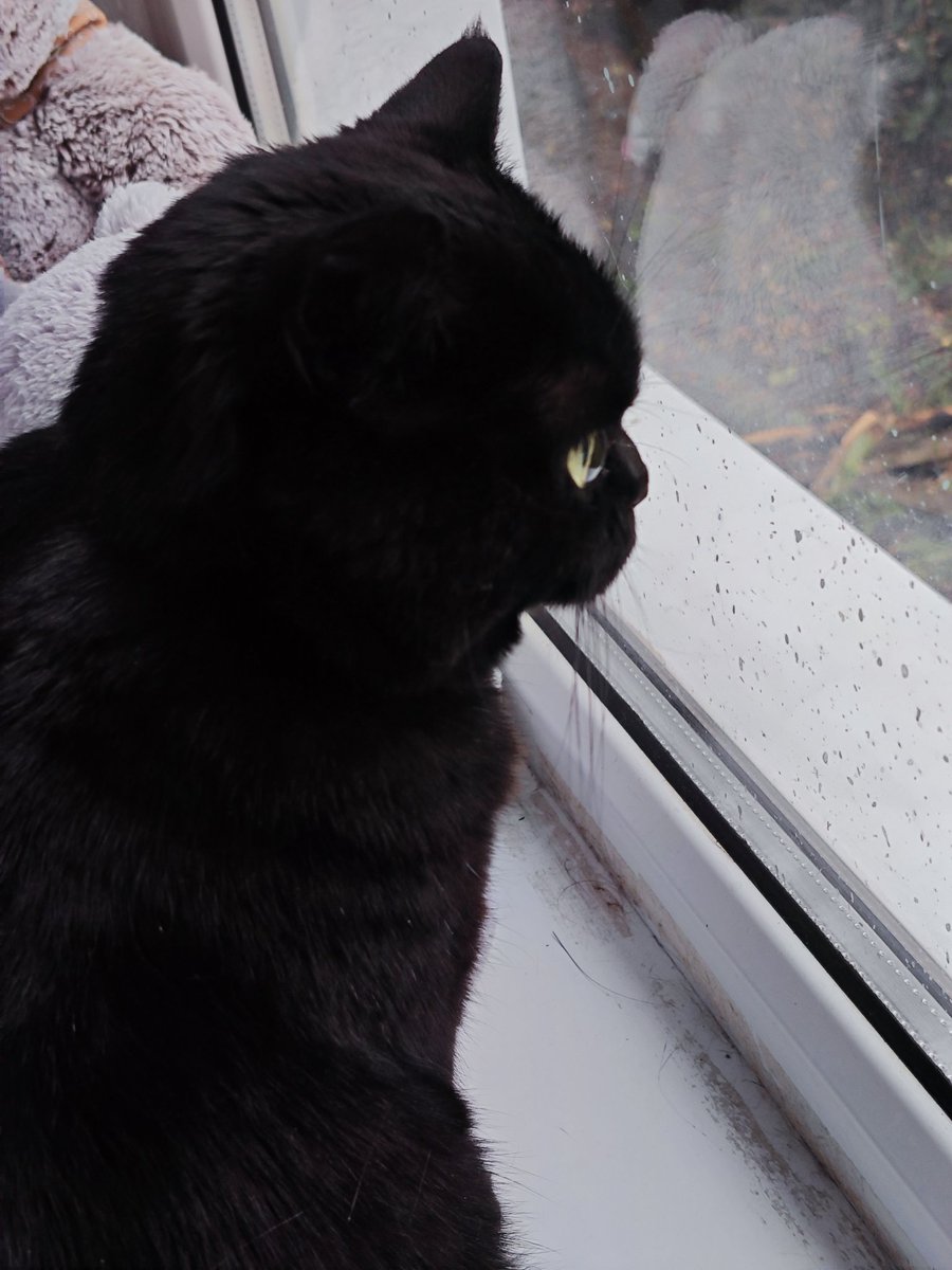 Мари tweet media