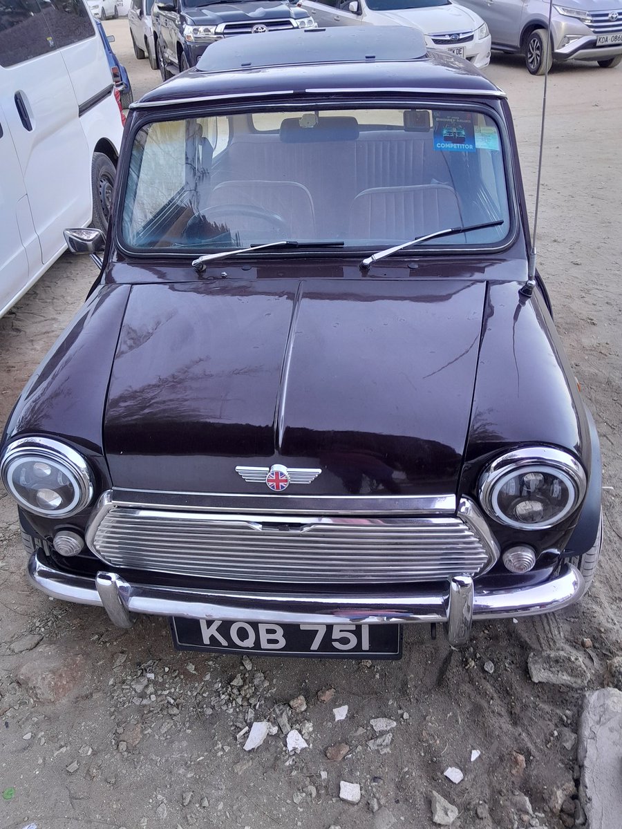 •This is Ochi• tweet media