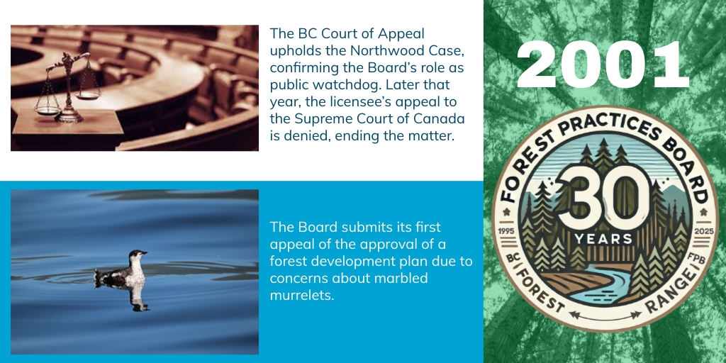 #TBT to 2001 🌲The courts backed us up, confirming our role as a public watchdog. And the Board launched its first-ever appeal over concerns for marbled murrelets. #BCforests #marbledmurrelets