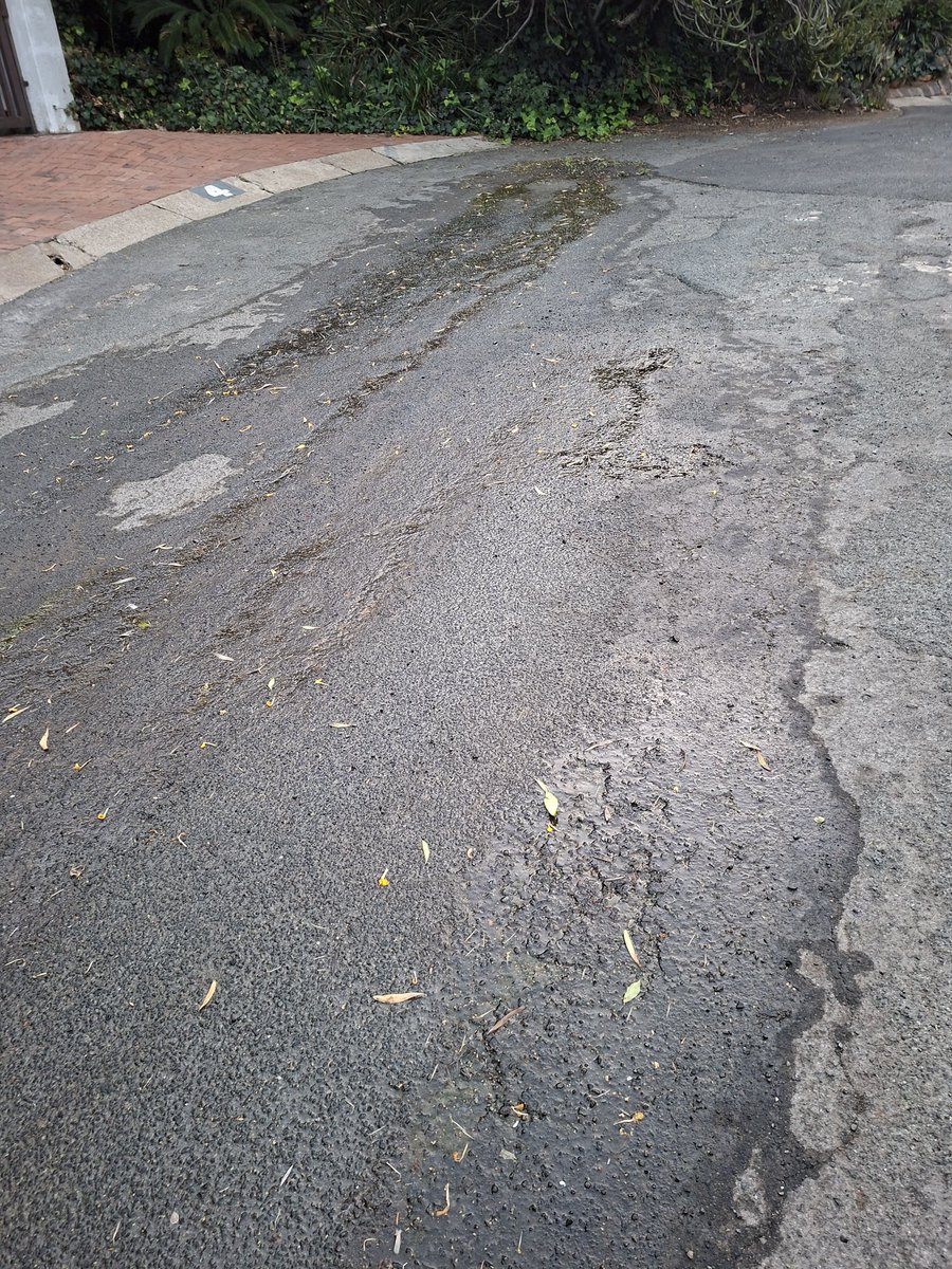 stefano madies tweet media