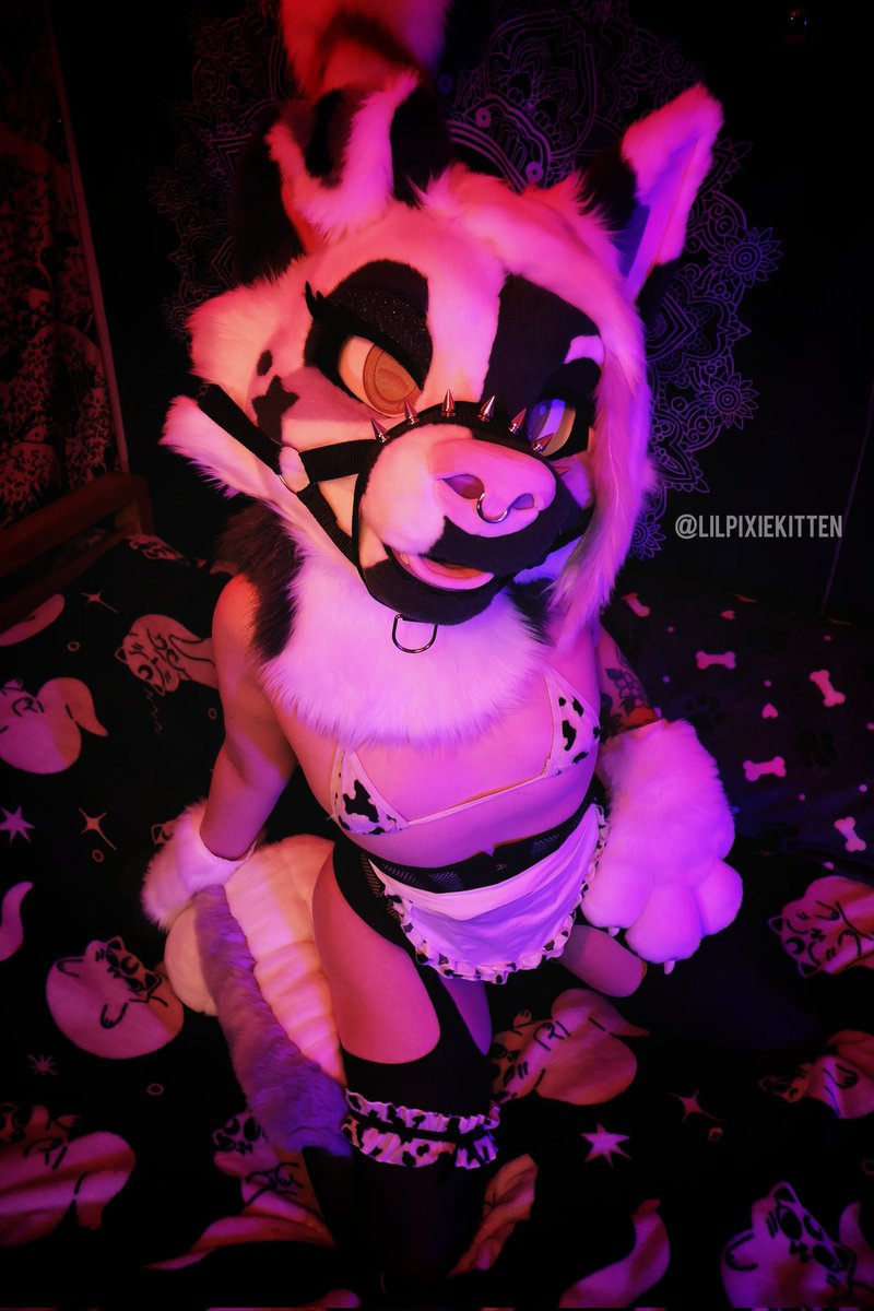 I've got my milking outfit on, it's pawjob time 🥛

550+ videos and 2.8k pictures on my main platform: linktr.ee/LittlePixieKit…
