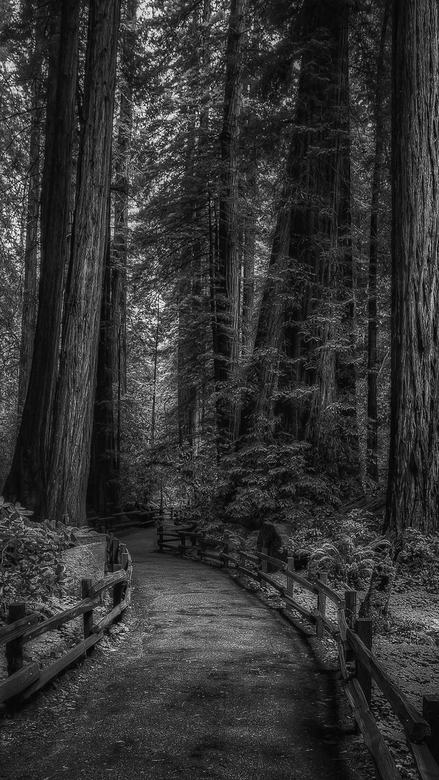 ᗞᗩᖇᏦᑎᗴᔑᔑ (@darkness666x) on Twitter photo 