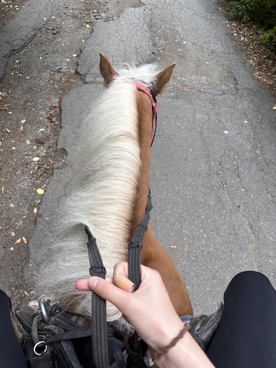 走らせてみたいなぁ。