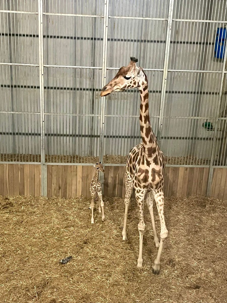 de PEYROLLE tweet media