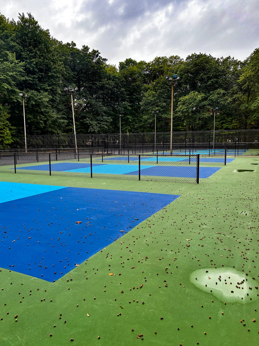 Port Huron Rec. Dept tweet media