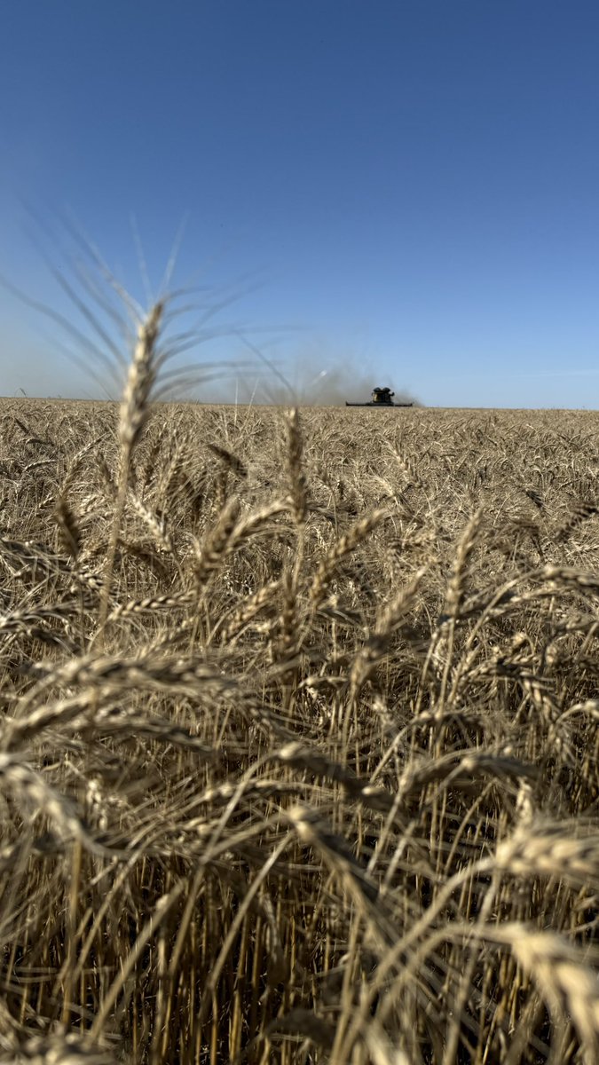 Gerry Farms tweet media