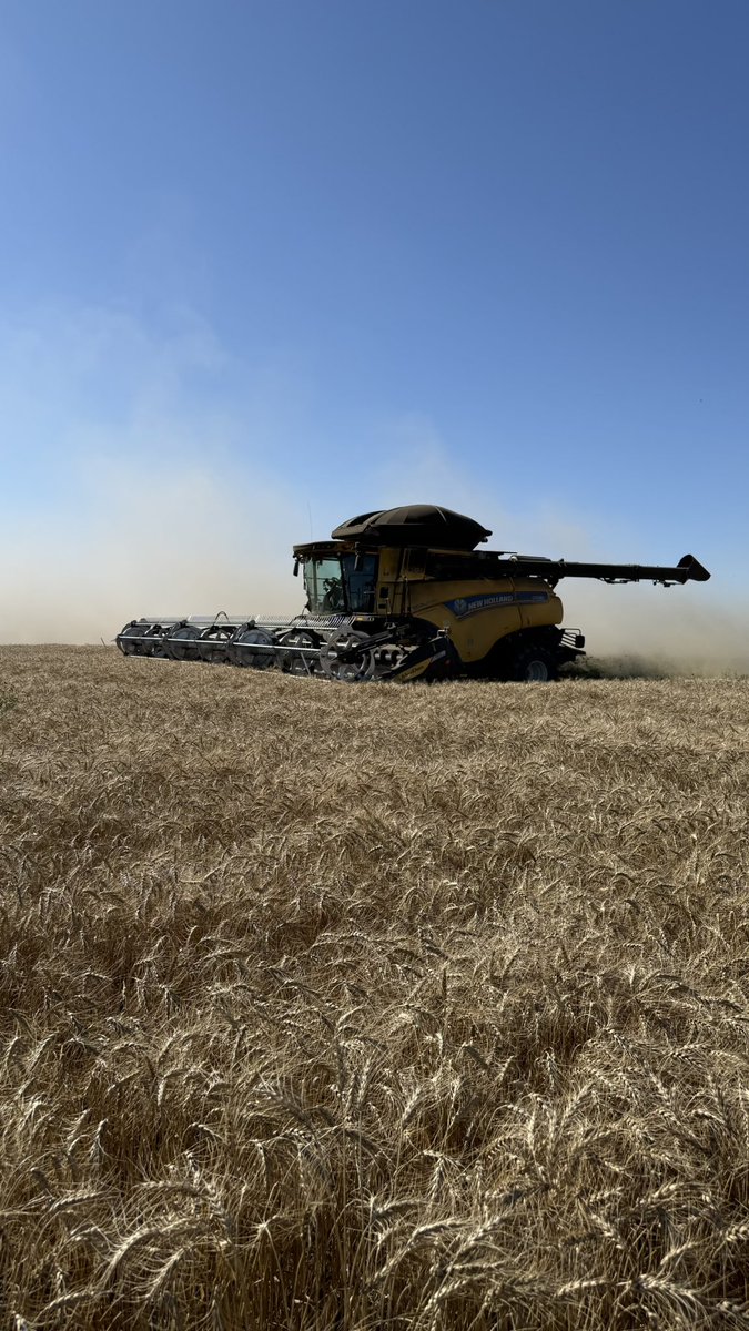 Gerry Farms tweet media