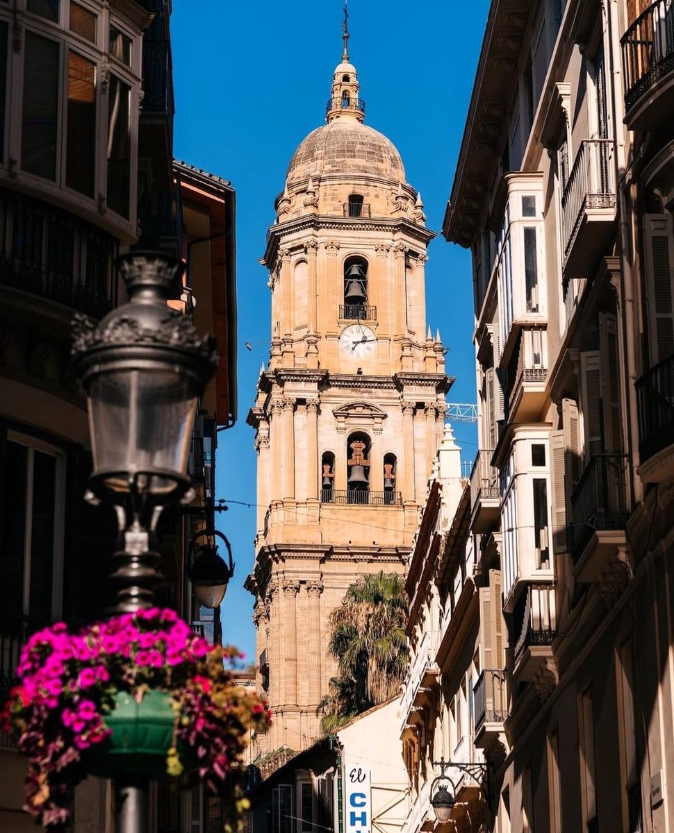 HarmonySmi3910's tweet image. Malaga, Andalucia, Spain