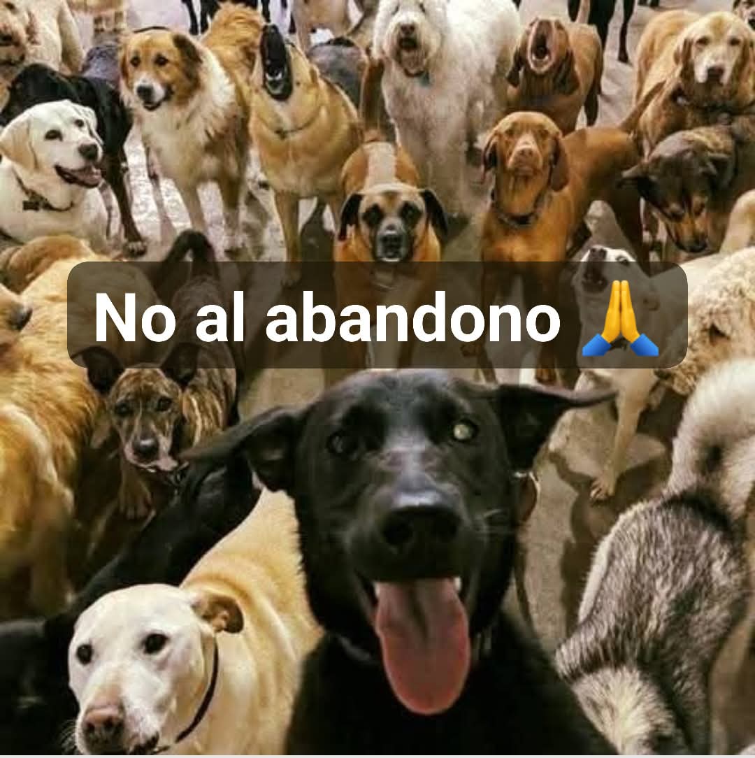 "El amor no se compra, se rescata"