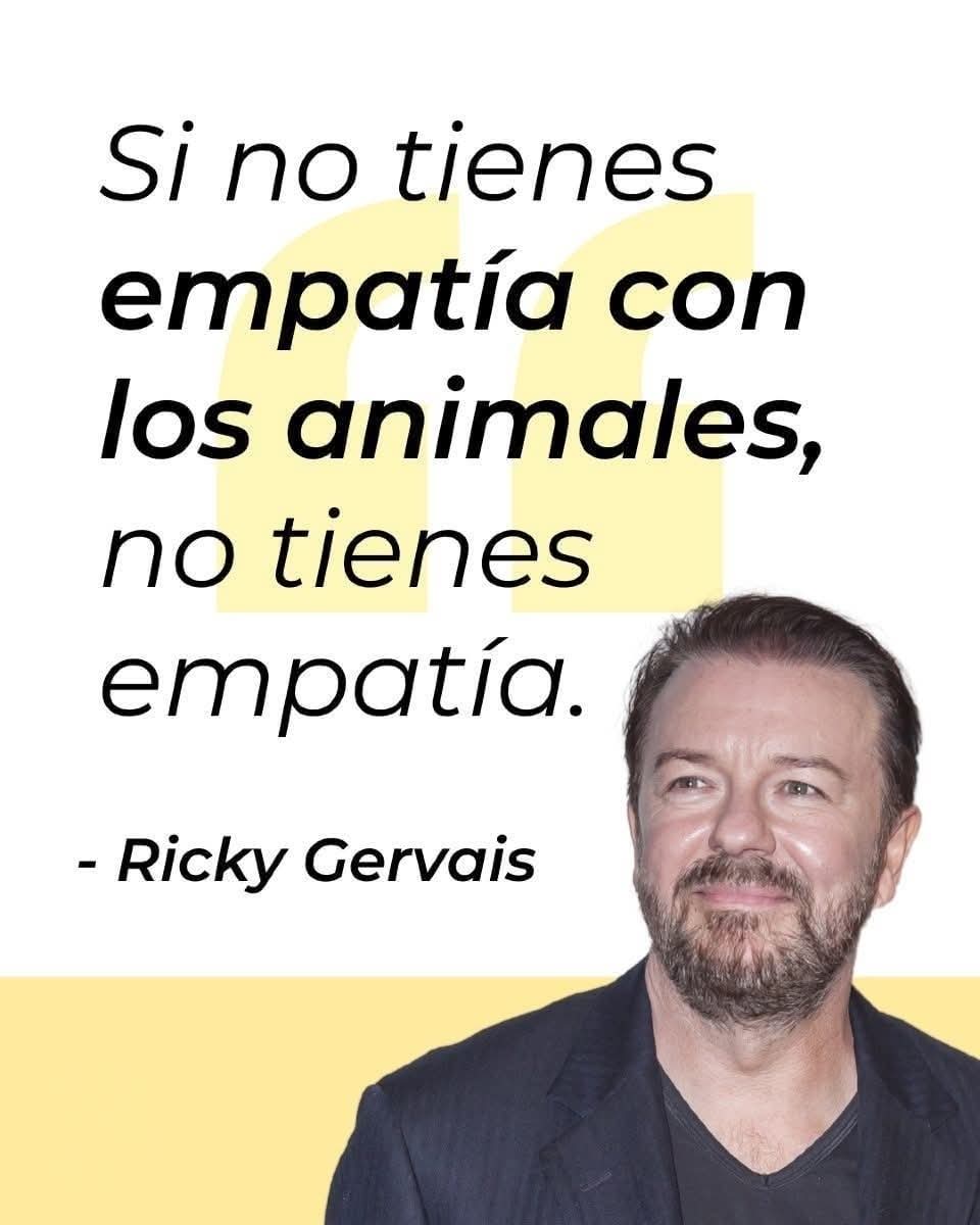 GRamirezF_D12's tweet image. GRANDÍSIMA VERDAD.!. 🐾🕊️🎗️