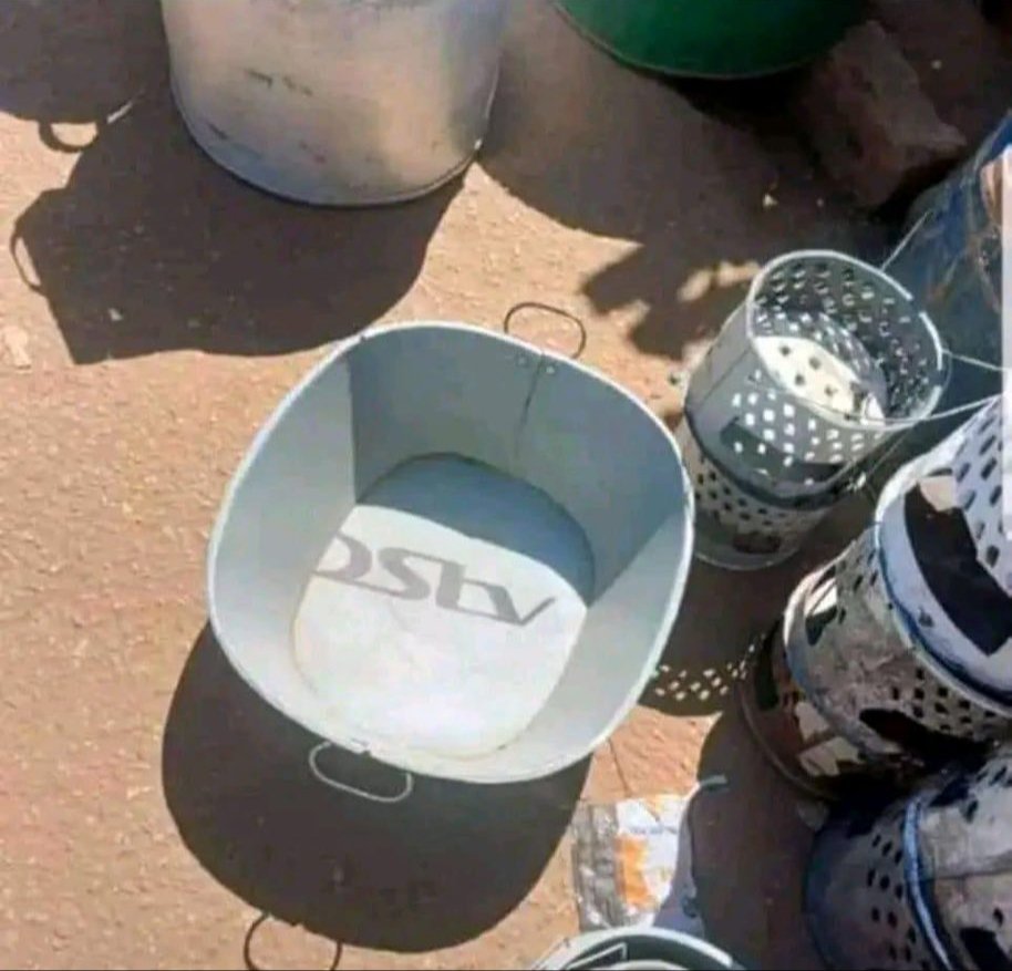 plant a tree 🌱 tweet media