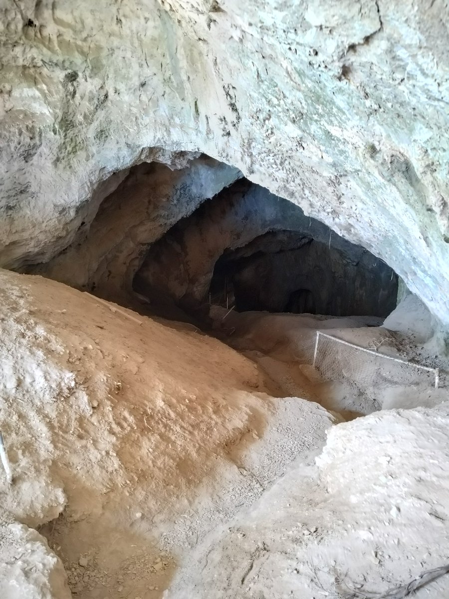 Tosca de Veld tweet media