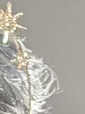 ก่อนนอนขอสปอยถ่ายงานวันนี้หน่อยครับ 😗