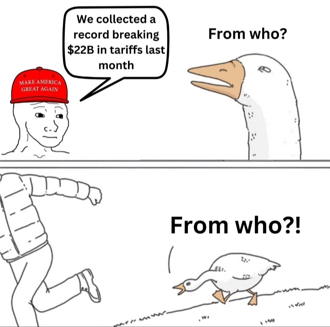 ⚘️Carina tweet media