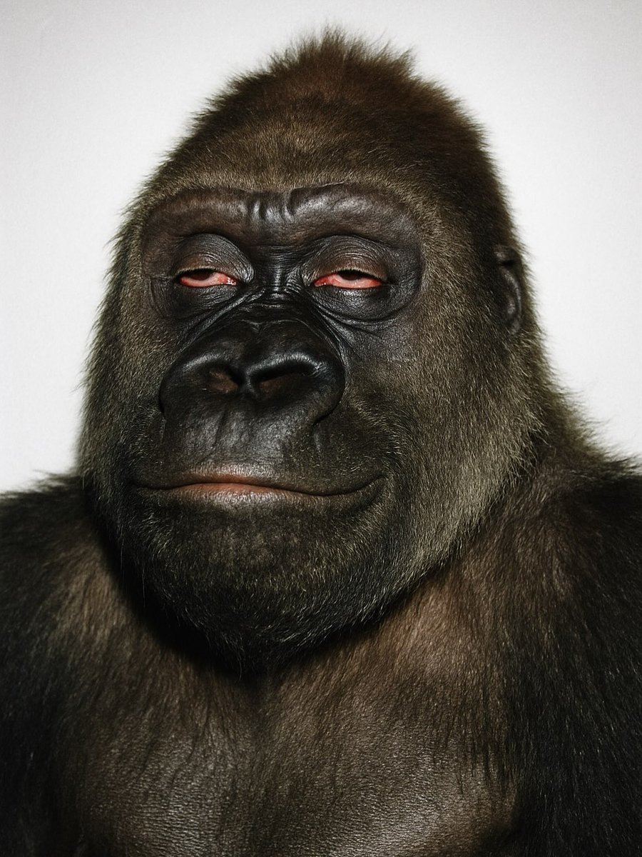 Aftermagics tweet media