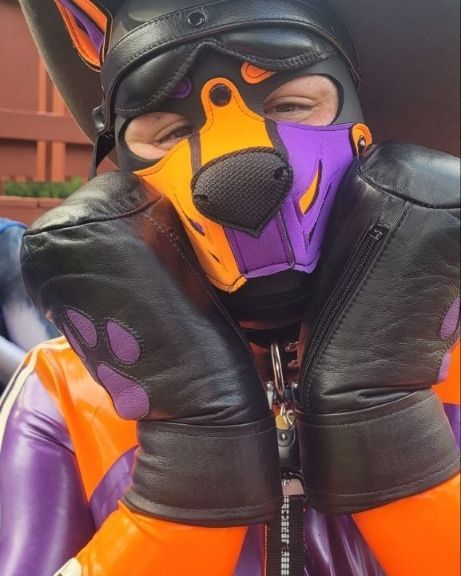 Being an innocent purple puppy for @Pup_Reaper 😇

(I definitely didn't steal his hat, he gave it to me)