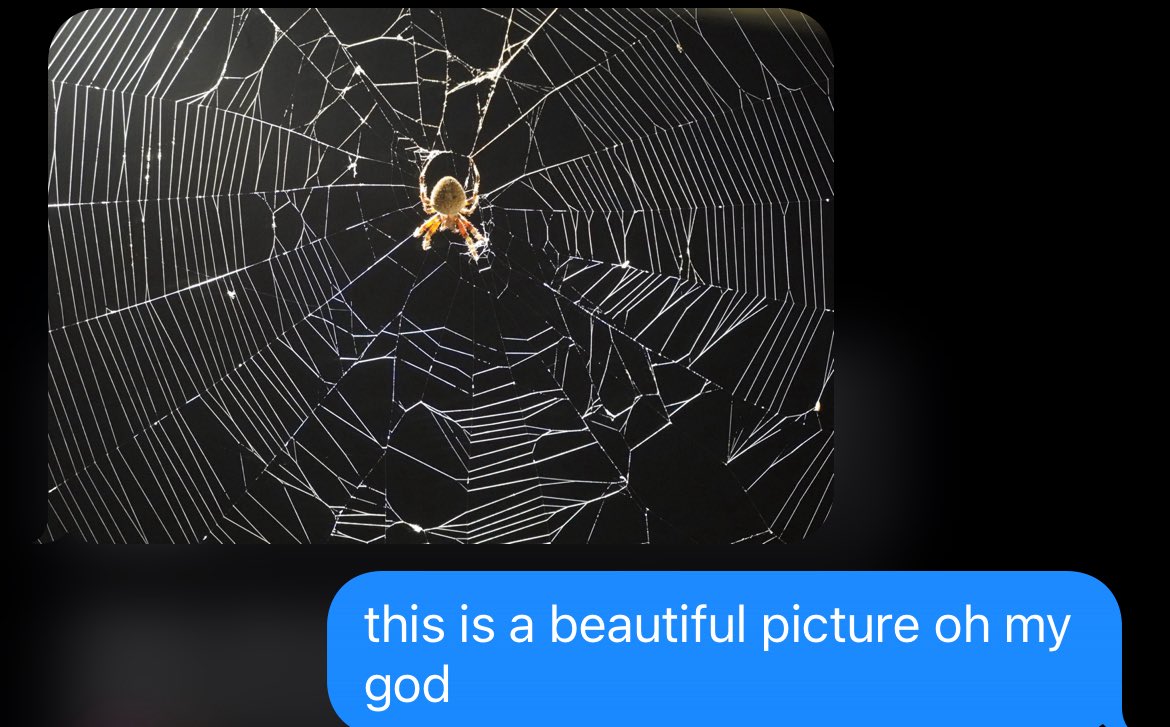 fixxleopard's tweet image. my aunt casually dropping the coolest picture ever taken mid text.