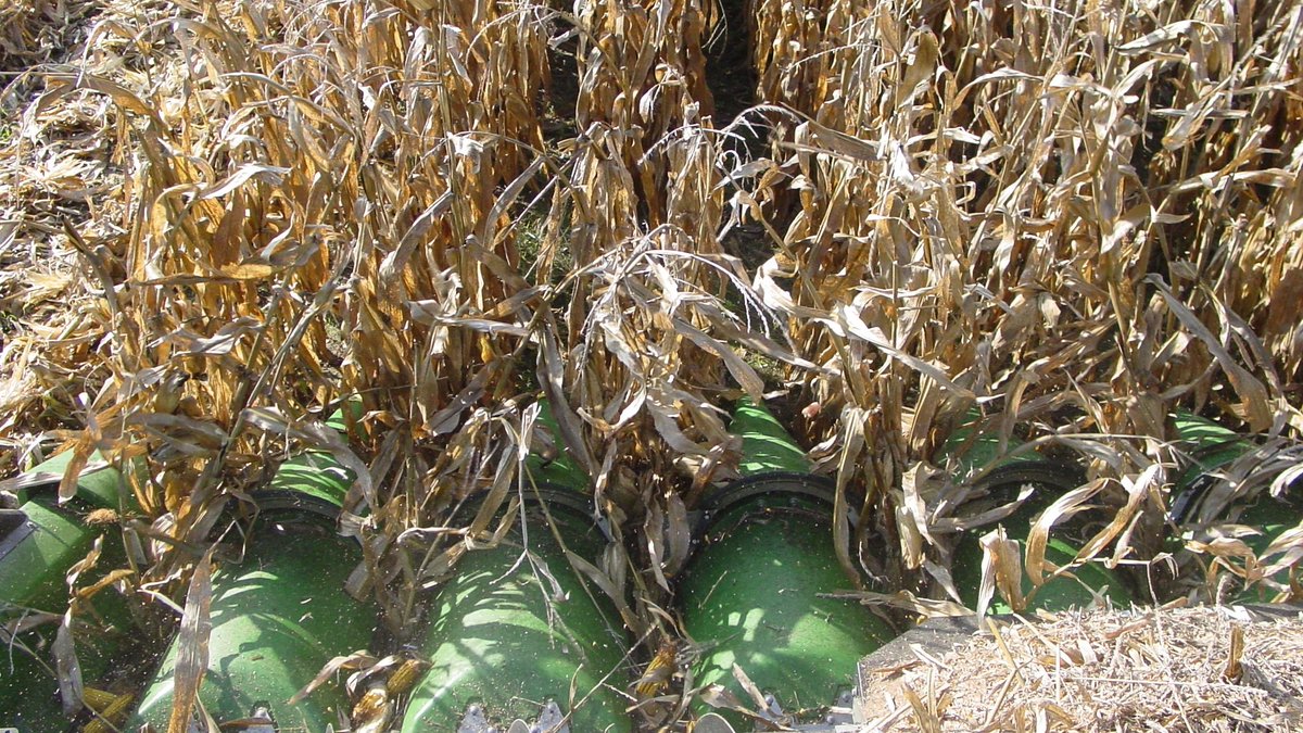 AgriGold tweet media