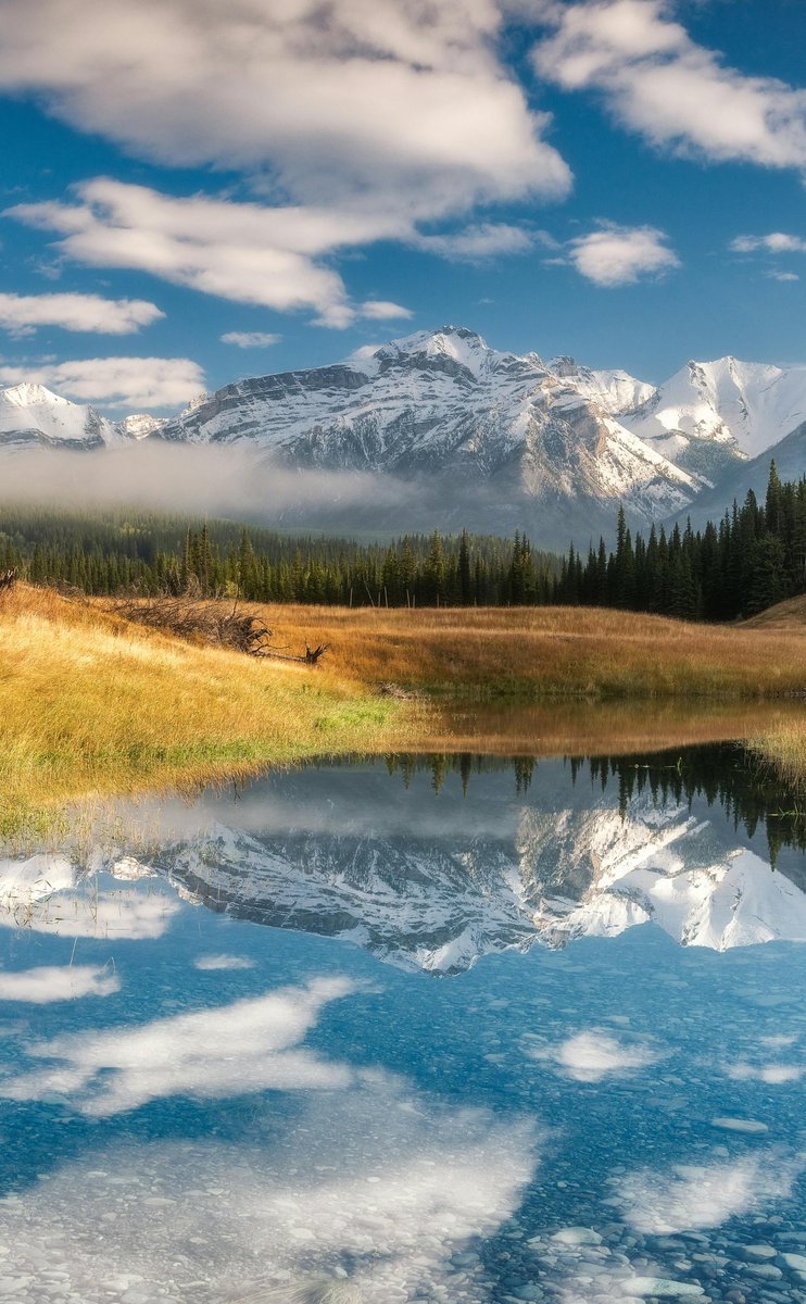 Beautiful! 
#nature #NaturePhotography