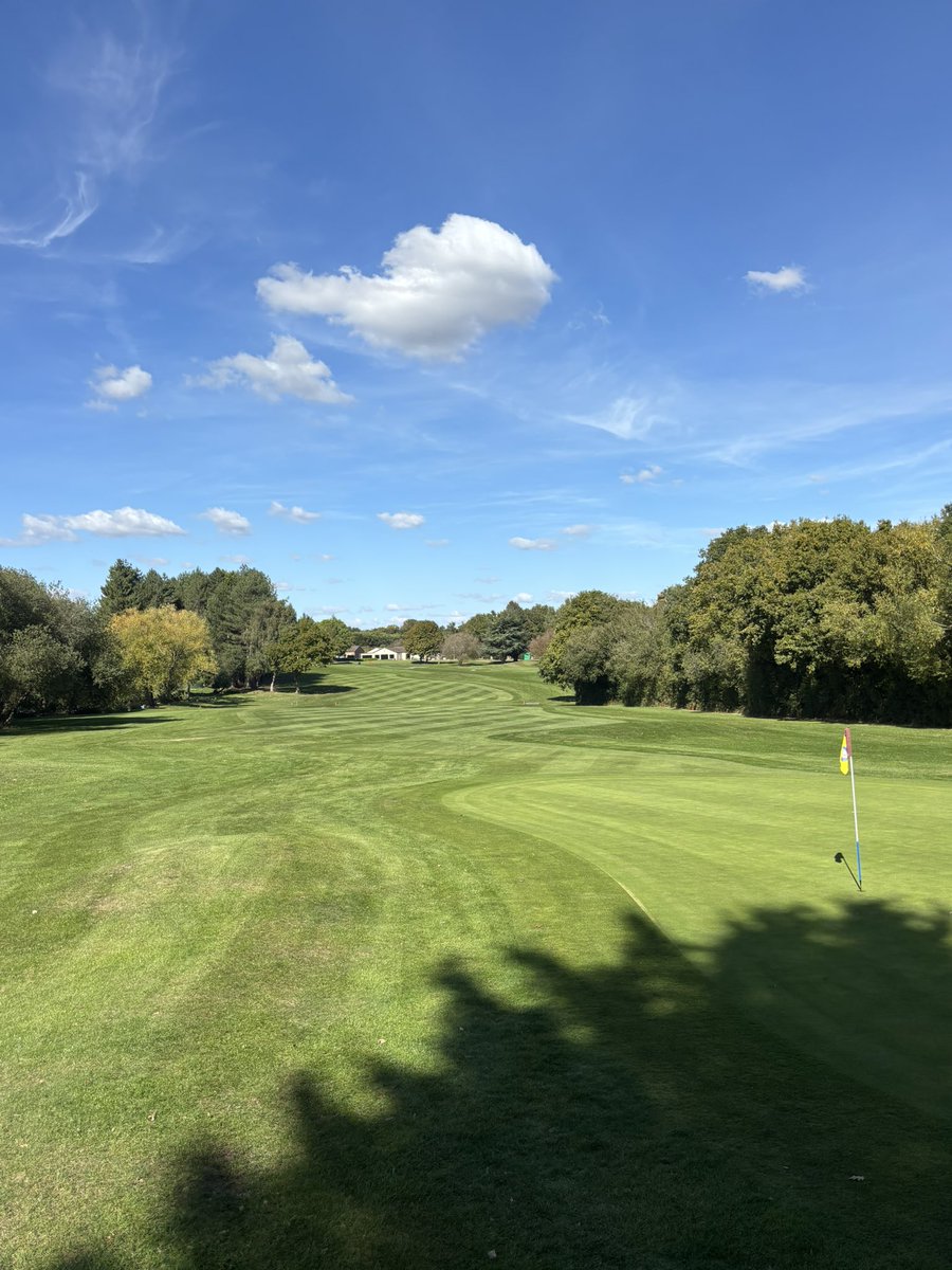 Lots going on at the moment