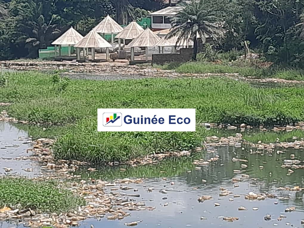 L’impact du changement climatique sur l’économie de l’Afrique guinee-eco.com/2025/09/25/lim…