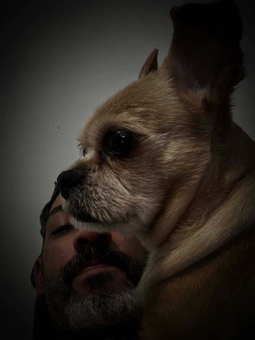 Diego Silva tweet media