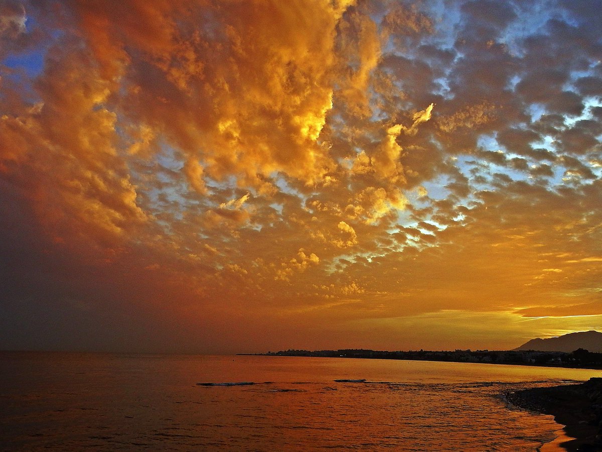 Małgorzata - Gosia 🇵🇱 tweet media