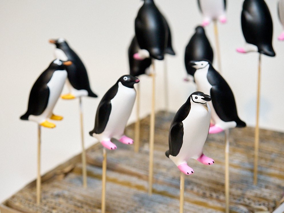 こびとぺんぎん (@kobito_penguin) / Posts / X