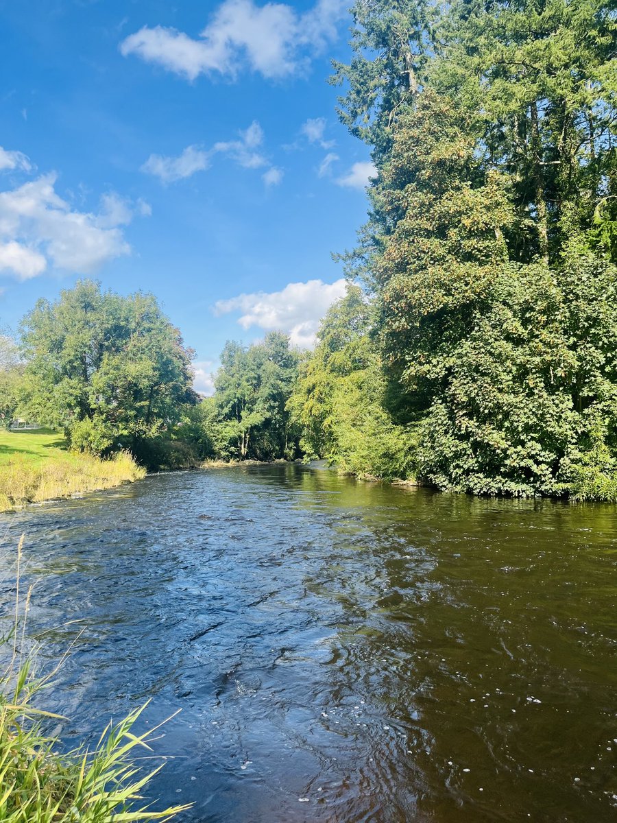 Today, I had a lovely lunchtime walk by the river - a simple pleasure in our sinister world #Cavan