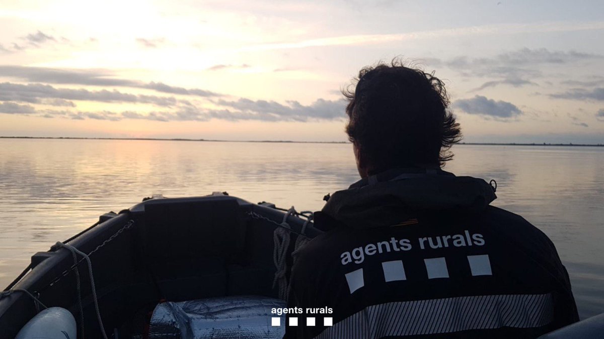 🌊 El nostre litoral és un tresor que hem de cuidar entre totes i tots.

⚓ Efectius del #GSMARÍcar patrullen els espais marins protegits de #Catalunya per controlar activitats, prevenir el furtivisme i preservar la biodiversitat d'aquests entorns sensibles.
 
#WorldMaritimeDay