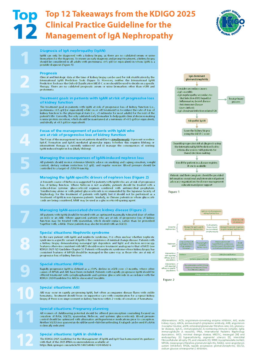 goKDIGO's tweet image. Check out the new KDIGO IgAN/IgAV Guideline Key Takeaways!

IgAN: kdigo.co/KDIGO-IgAN-Gui…

IgAV: kdigo.co/KDIGO-Guidelin…

These resources are designed to provide clinicians with quick and practical access to the most important points from the new KDIGO guideline on managing #IgAN…
