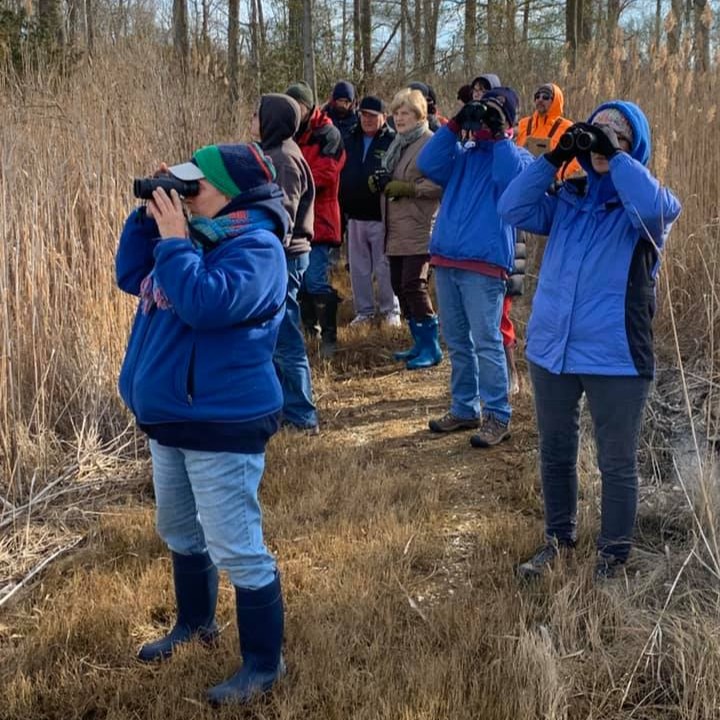 SJ_Program's tweet image. Sustainable Jersey Newsletter: Soaring Back: Downe Township Educates about the Bald Eagle (Cumberland County)
Read more: sustainablejersey.com/news/newslette…
@wildlifenj
