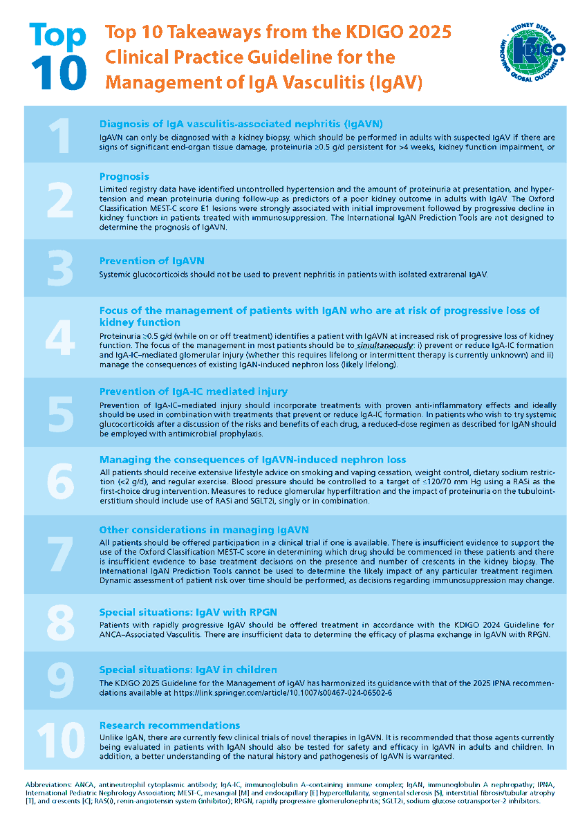 goKDIGO's tweet image. Check out the new KDIGO IgAN/IgAV Guideline Key Takeaways!

IgAN: kdigo.co/KDIGO-IgAN-Gui…

IgAV: kdigo.co/KDIGO-Guidelin…

These resources are designed to provide clinicians with quick and practical access to the most important points from the new KDIGO guideline on managing #IgAN…