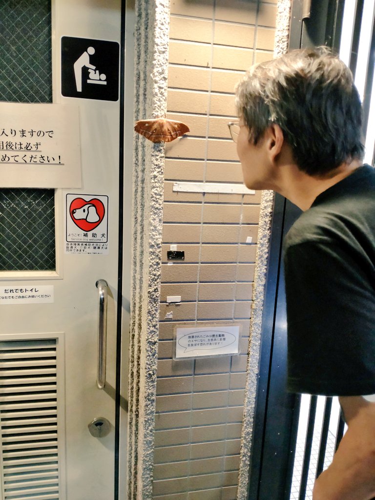 mikeko18's tweet image. まじまじと見るまだら汁