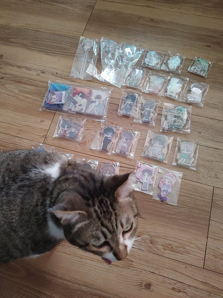 사실 이번에 언덕님(<a href="/0909ebot/">언덕배기 공구(쉬어가기)</a>) 의 공구 그동안 못탔던 공구여서 작정하고 탔던지라 너무 많아 민망해서 올리기 뭐한 수준이었지만.... 햄복하네요
아주 많이..😅😅
언제나 감사합니다 ㅠㅡㅠ
소설 재탕할때마다 주머니에 토템으로 가지고 다니겠습니다는 의연한 의지로 충성충성충성!!!!