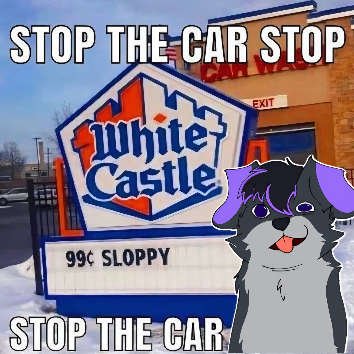 pleo 🔜 LVFC (@pleoshep) on Twitter photo 