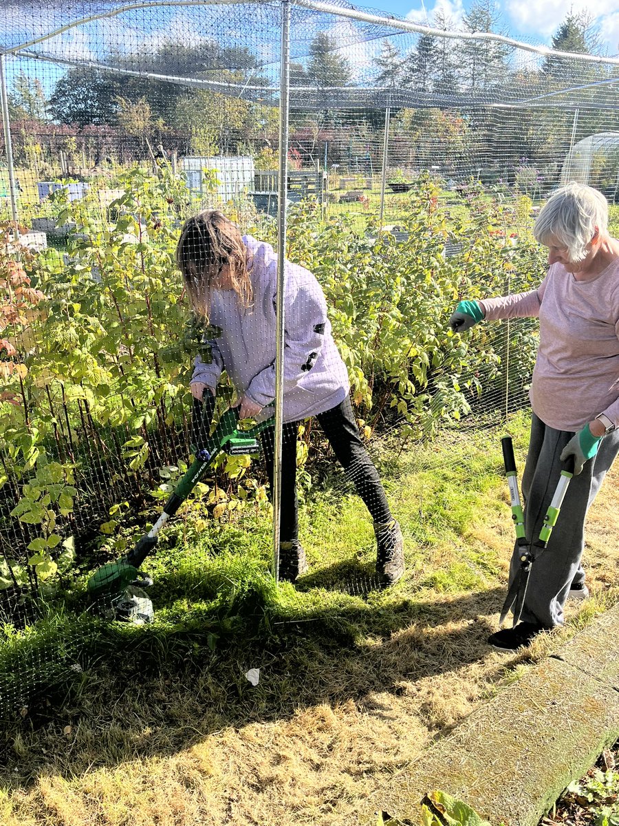 MrnicolN's tweet photo. Lovely September sunshine in the @SpringhillComm1 today. @northfieldaca pupils getting stuck into strimming weeds, cutting fence posts. Lovely tea break with everyone at the end as well. https://t.co/vVZRZwt5EV