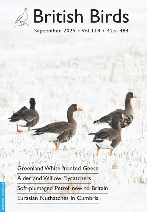 New editor of British Birds is experienced ornithologist and chairperson of Spurn Bird Observatory.
Report at:
thewryneck.blogspot.com