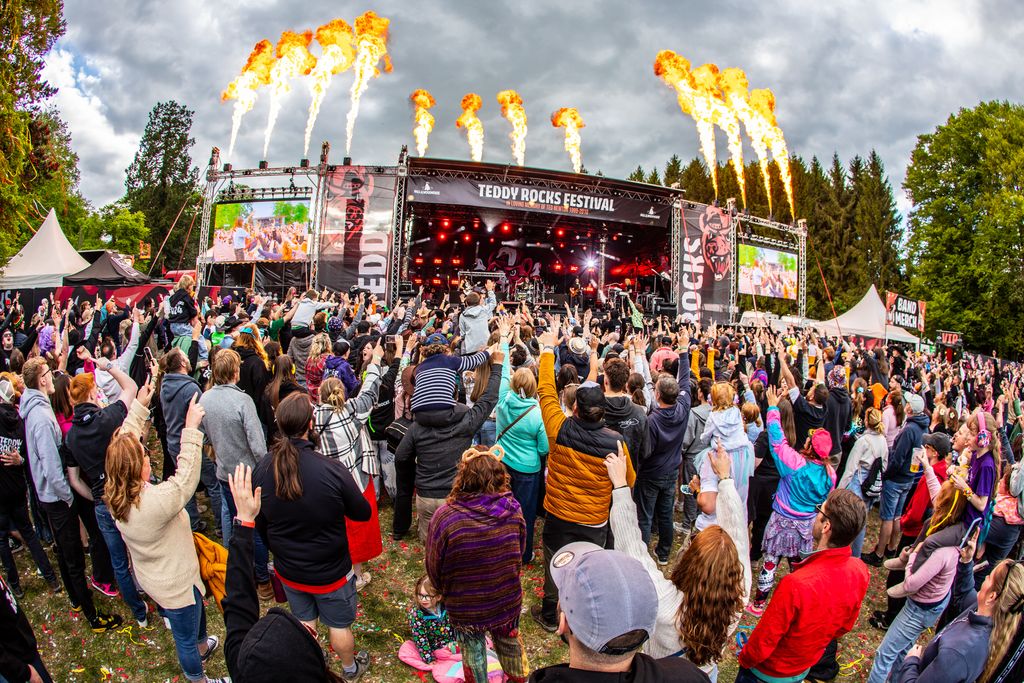 Teddy Rocks Festival tweet media